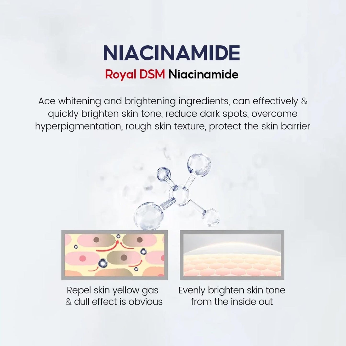 Niacinamide Whitening Face Toner 5X Ceramide Skin Barrier Repair Brightening Glowing Skin Fades Dark Spot