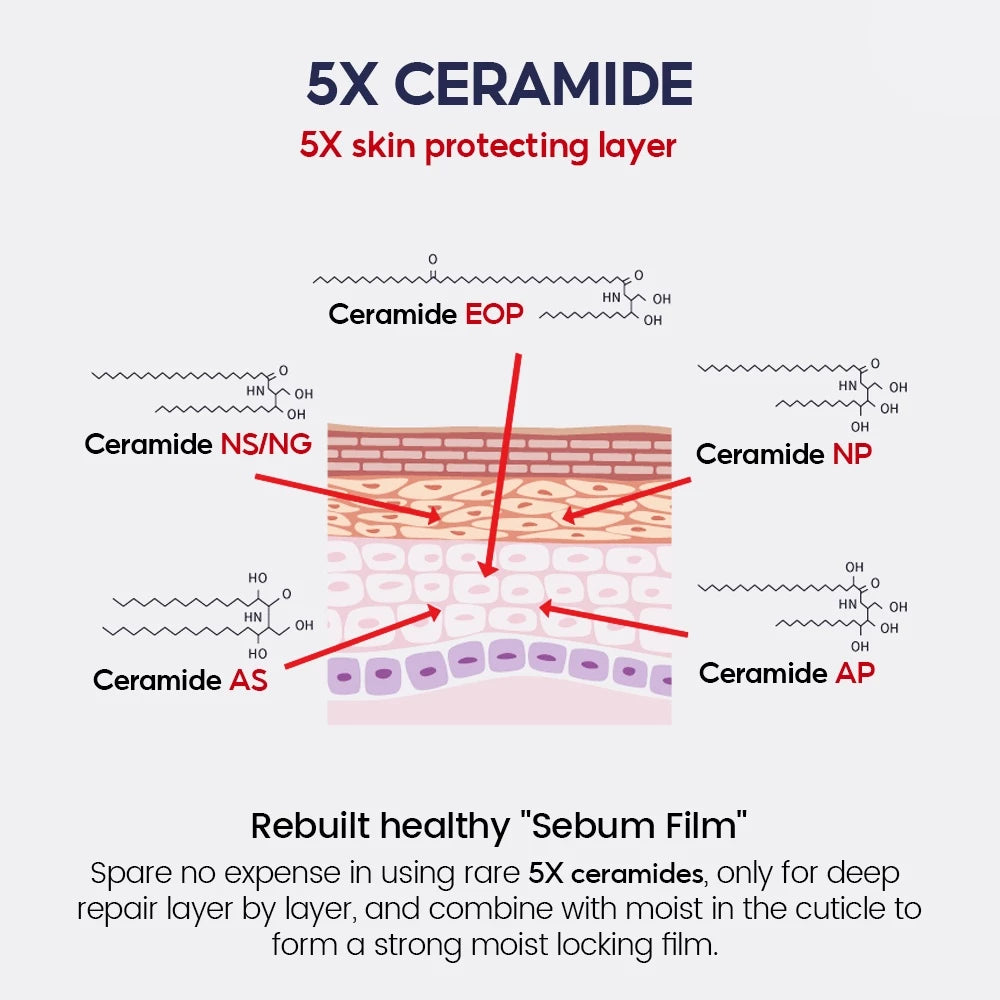 Niacinamide Whitening Face Cream 5_ Niacinamide Serum Set 5X Ceramide 3X Centella Skin Barrier Repair