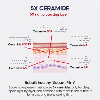 Niacinamide Whitening Face Moisturizer 5X Ceramide Skin Barrier Repair Redness Dryness Brightening Glowing Skin